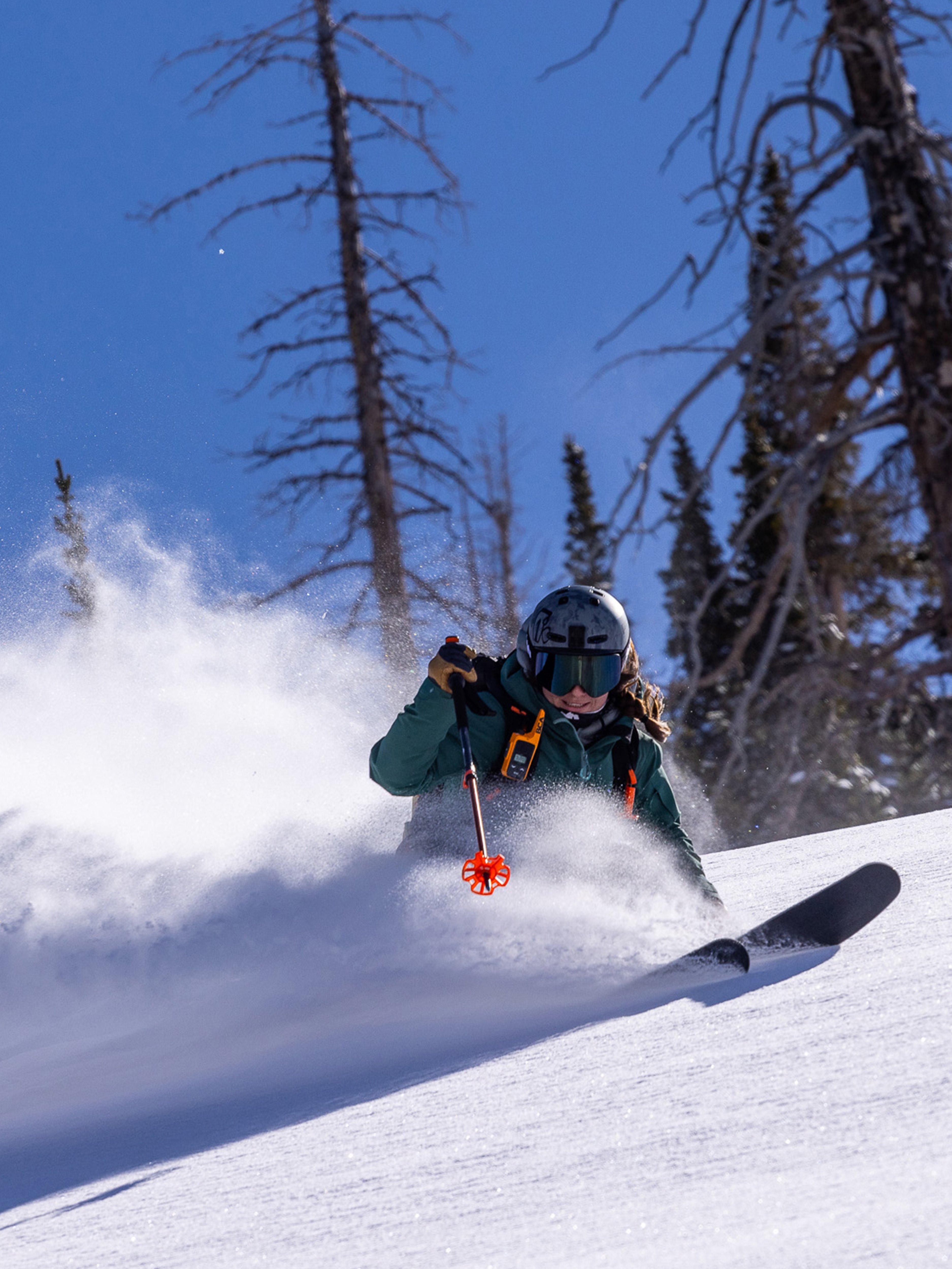 BCA Scepter™ Adjustable Aluminium Pole 2025 | Backcountry Access