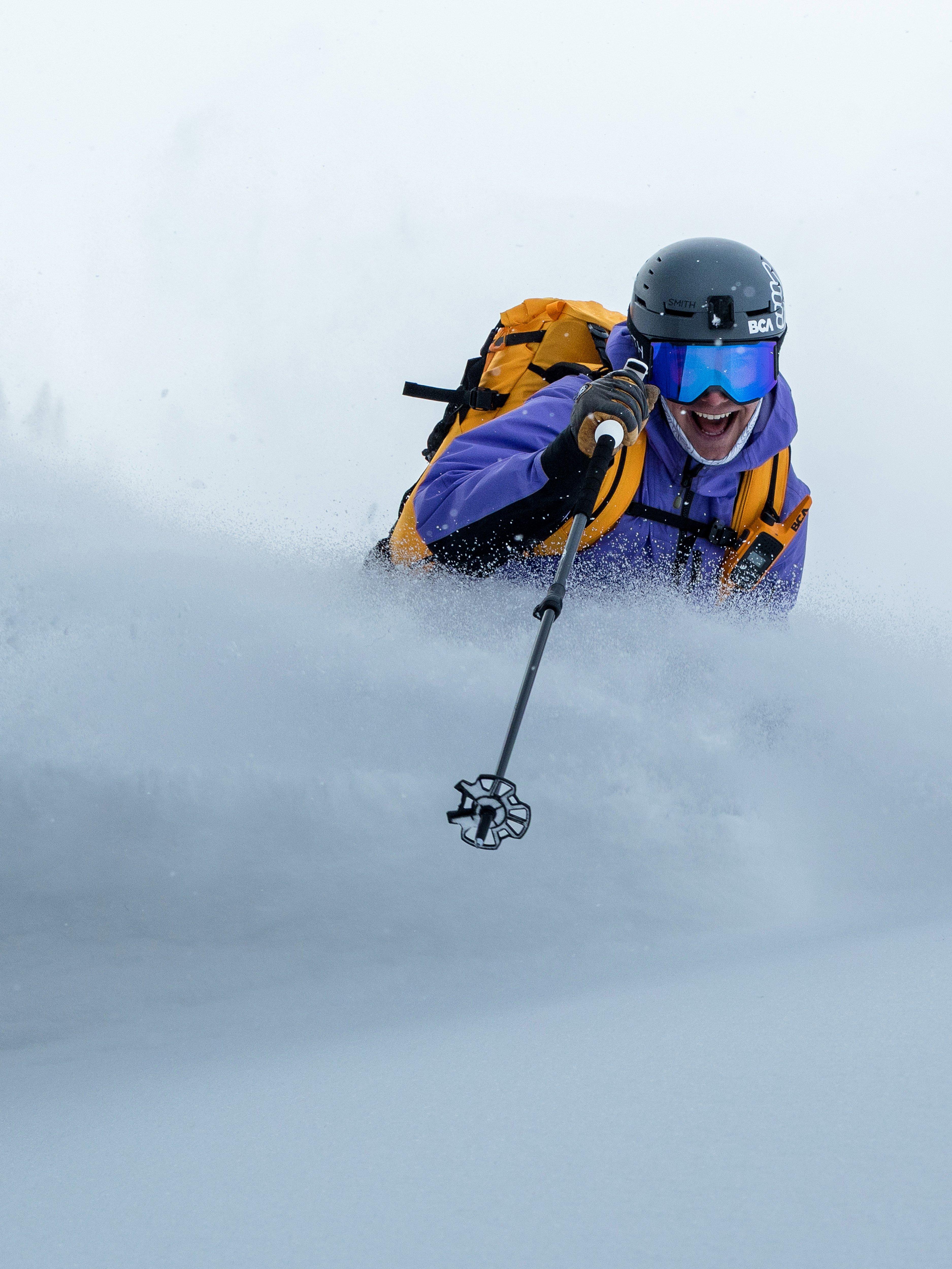BCA Scepter™ Adjustable Carbon Aluminum Pole 2027 | Backcountry Access