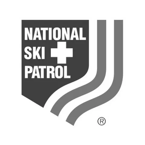 partner logo nsp
