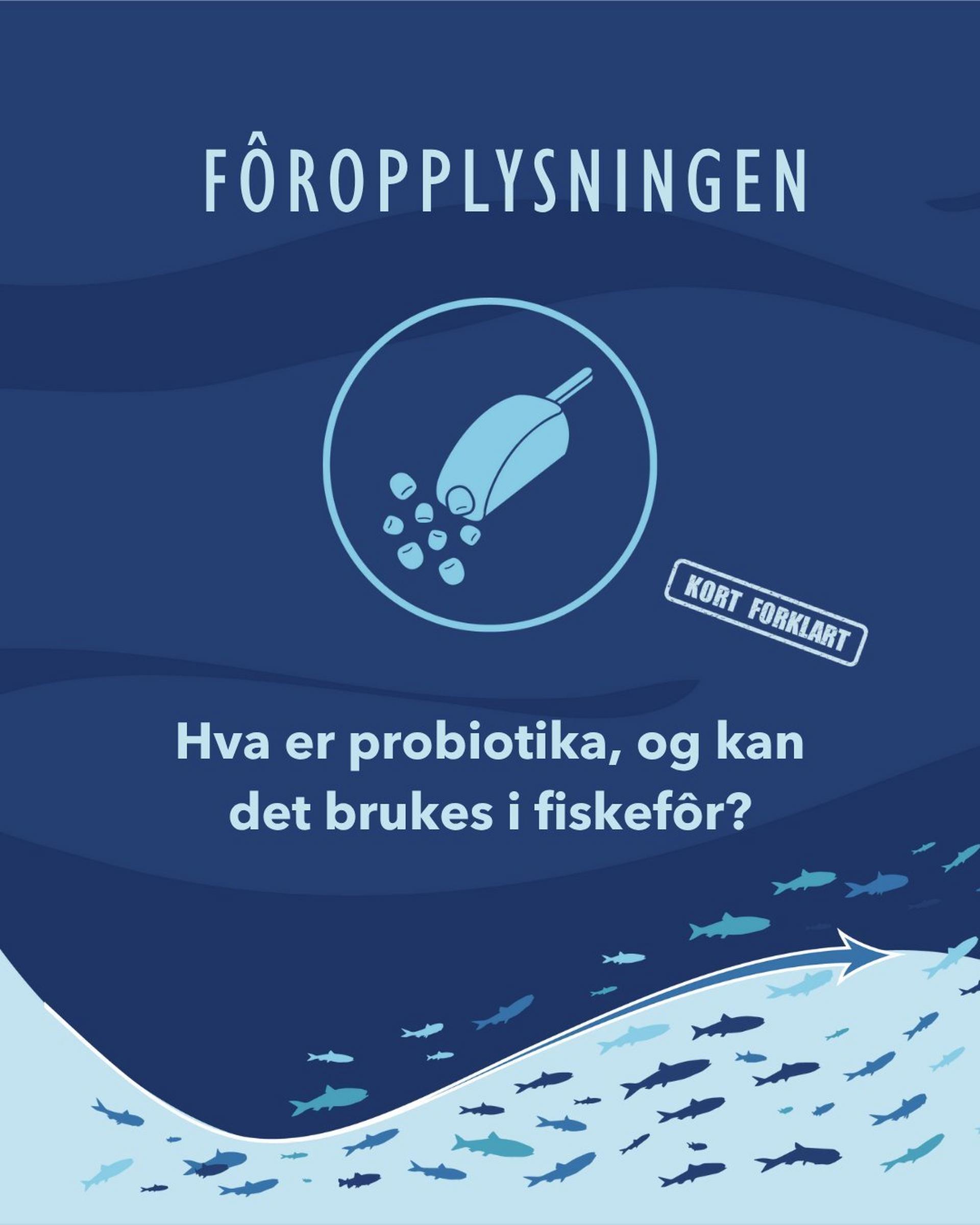 Hva er probiotika, og kan det brukes i fiskefôr?