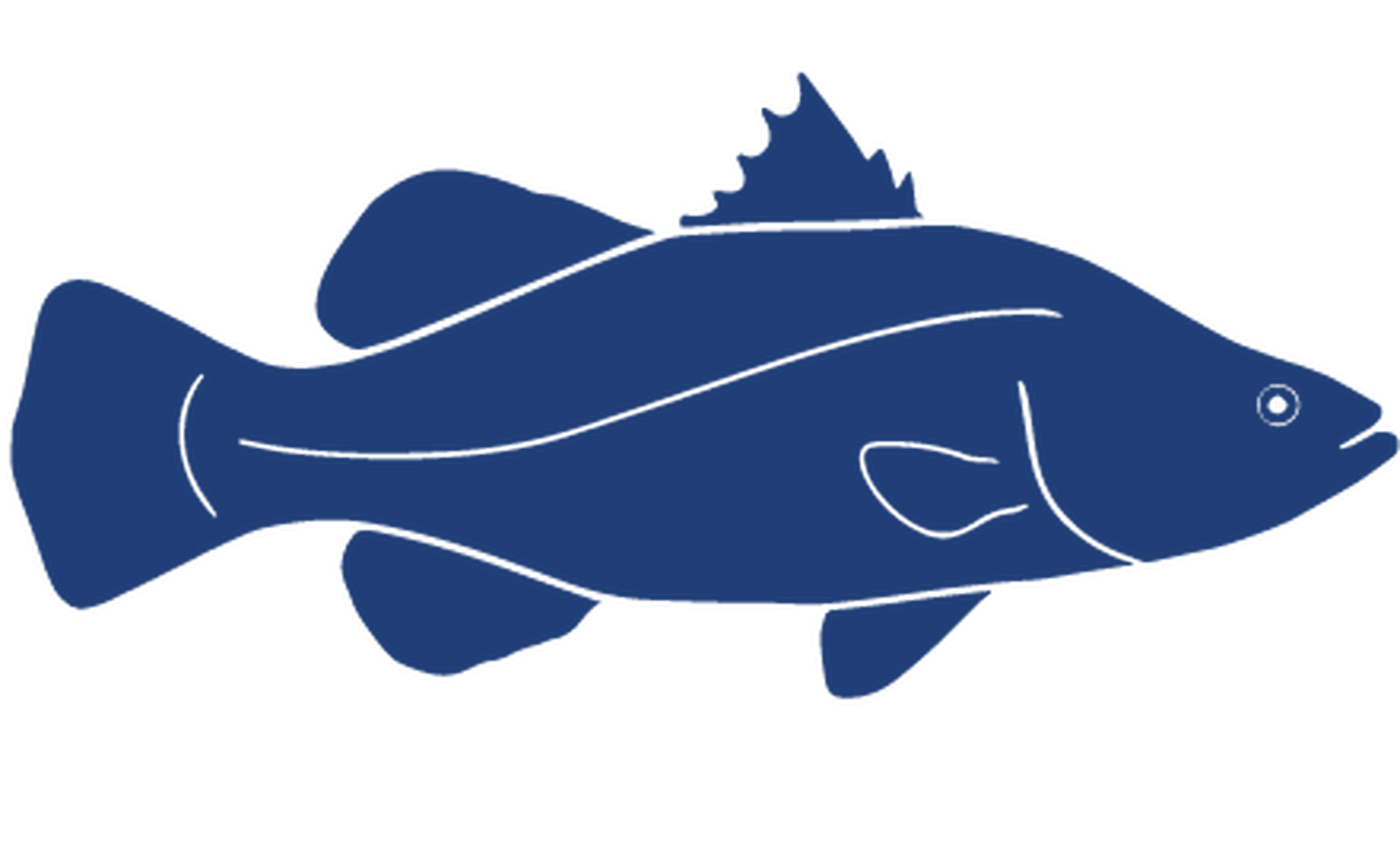 Barramundi Icon