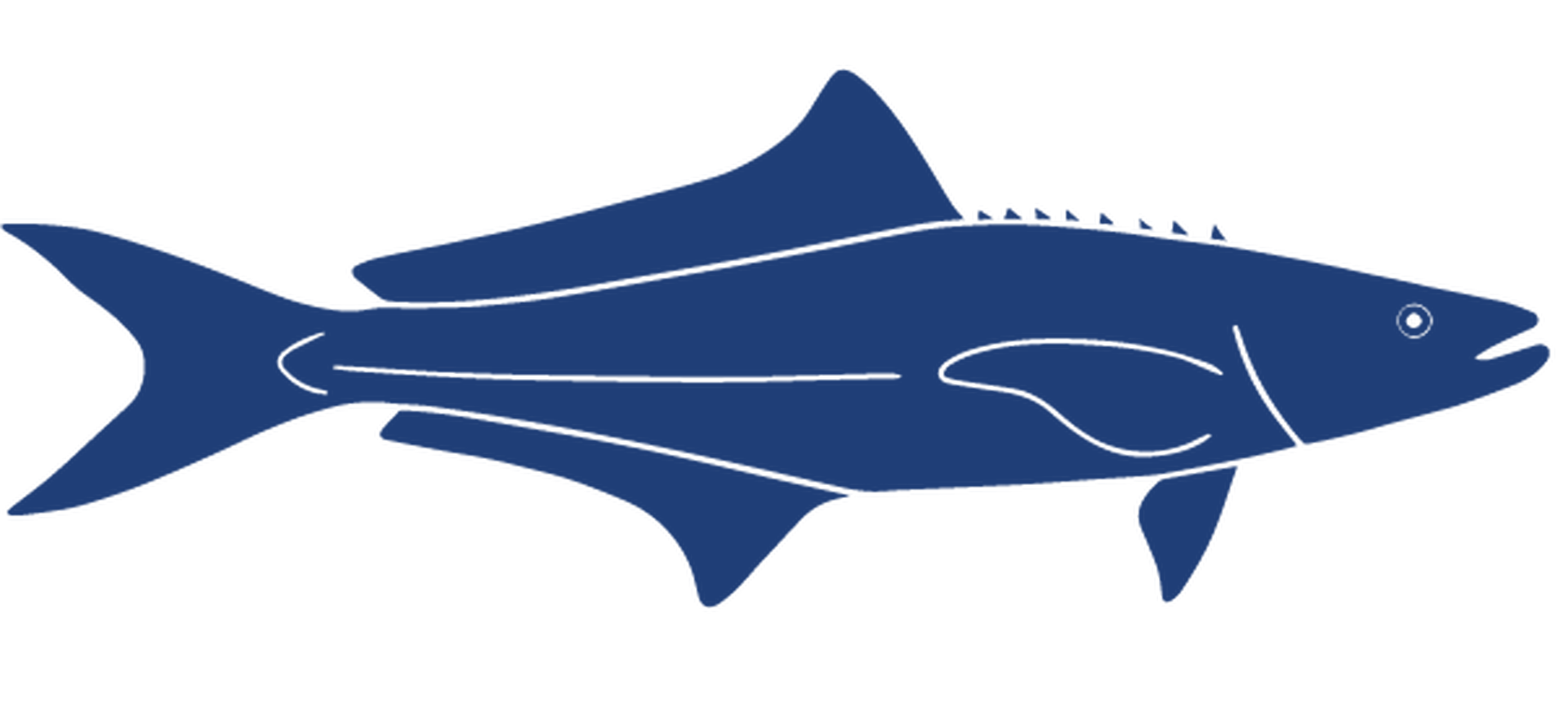 Cobia Icon