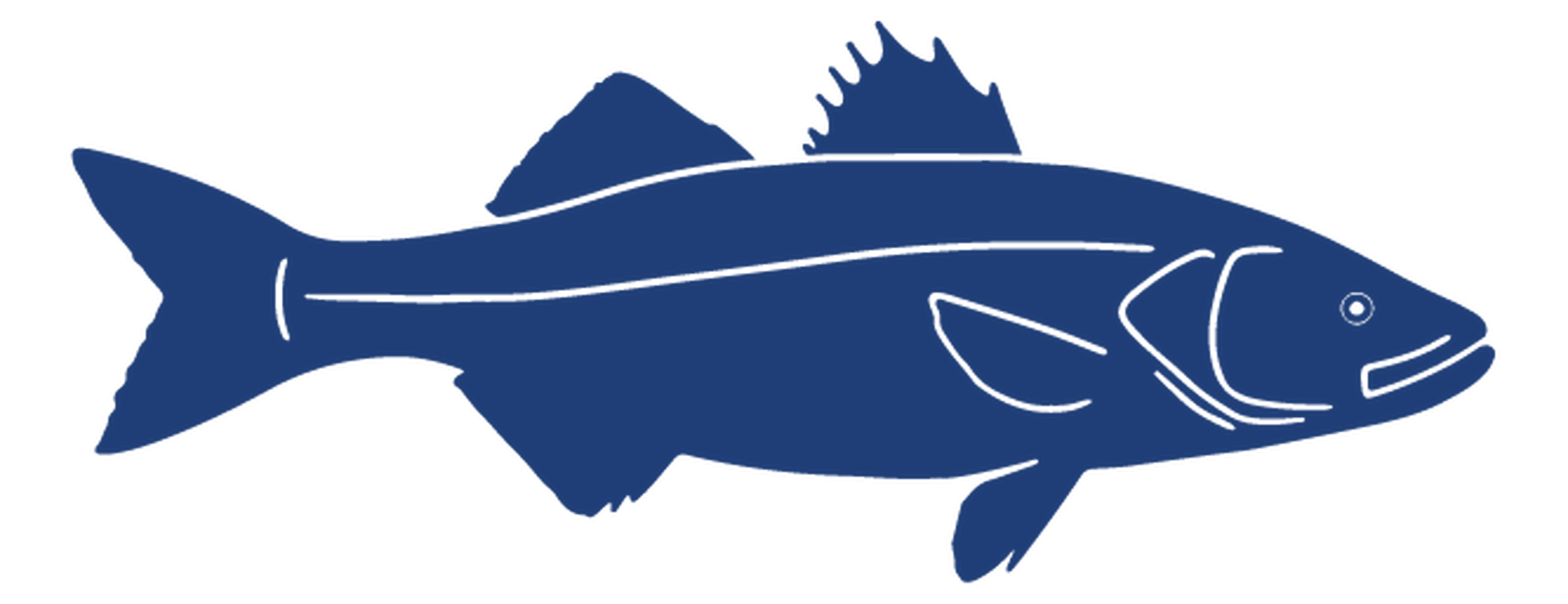 Sea Bass Icon