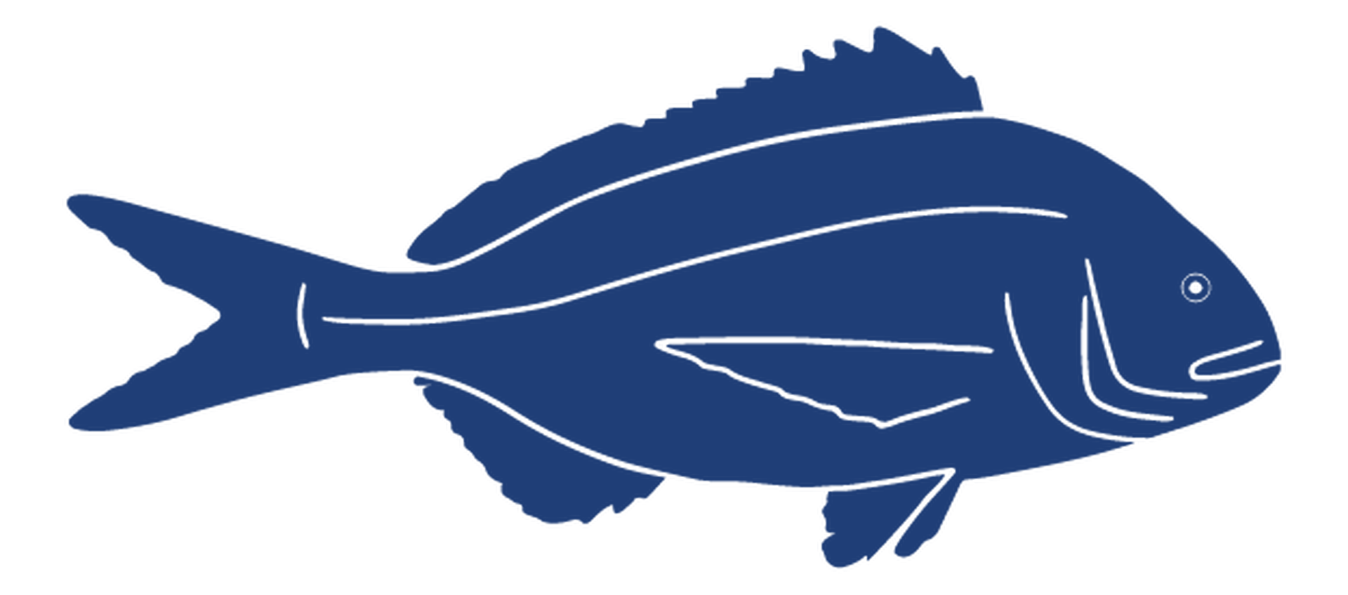 Sea Bream Product Image 1