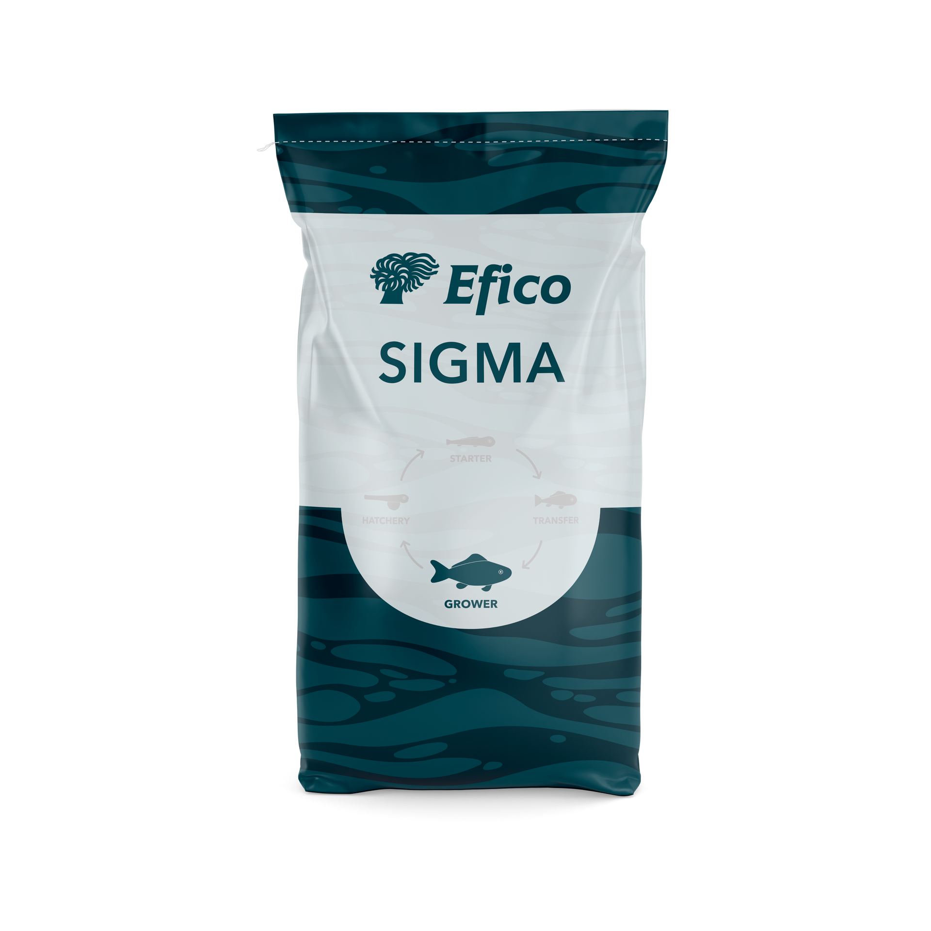 BioMar's Efico Sigma feed for sole in RAS