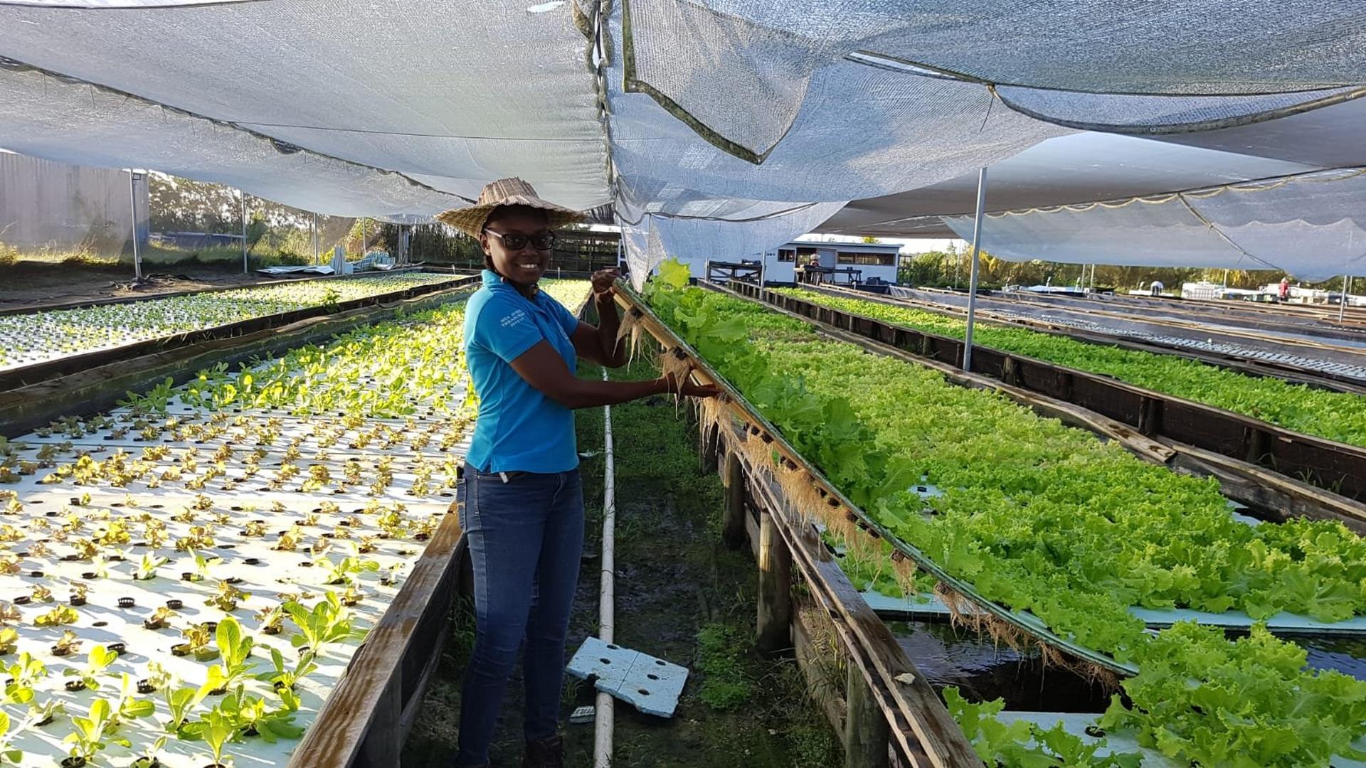 A woman in a hat at an aquaponics farm