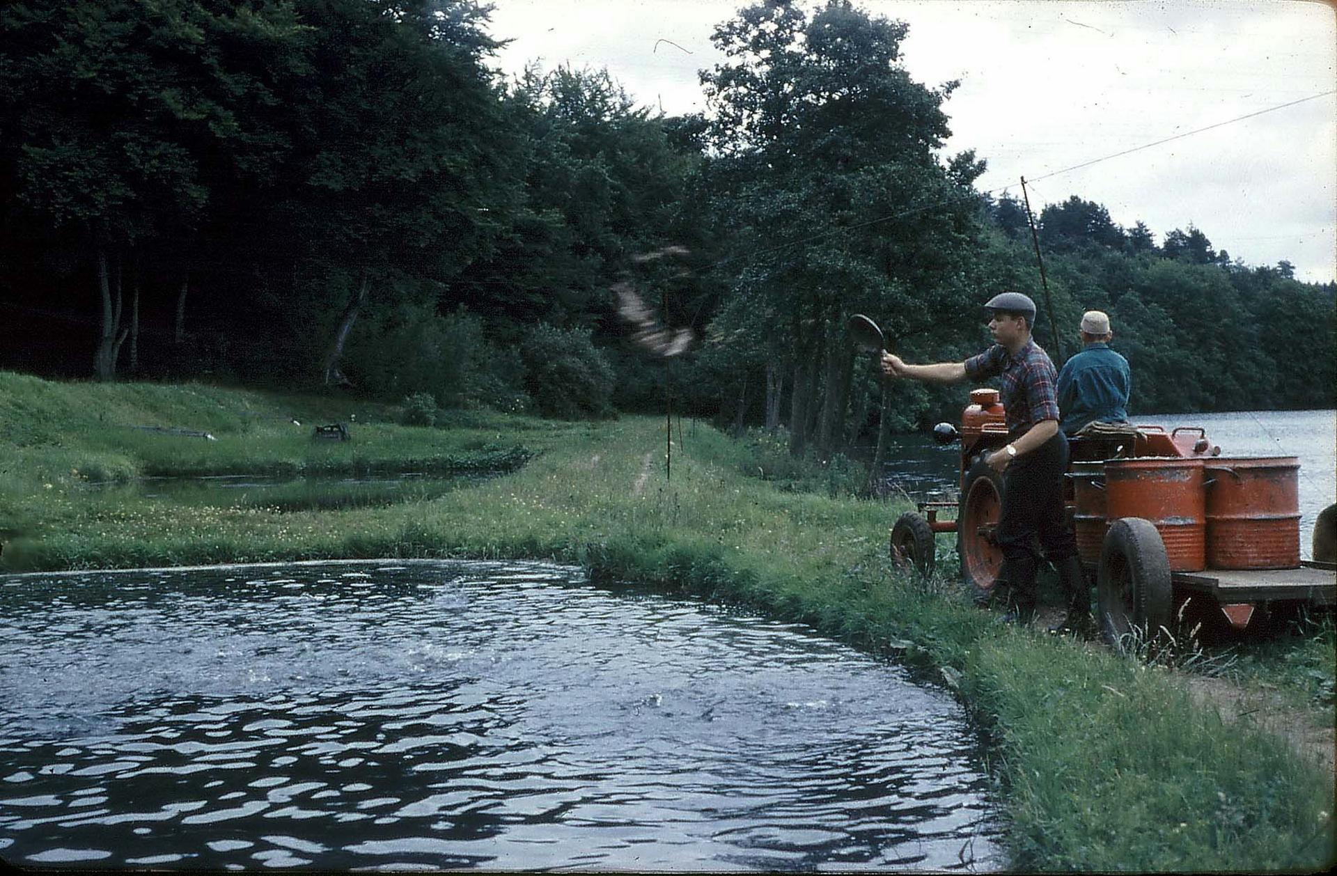 BioMar's history 1962 vaadfoder