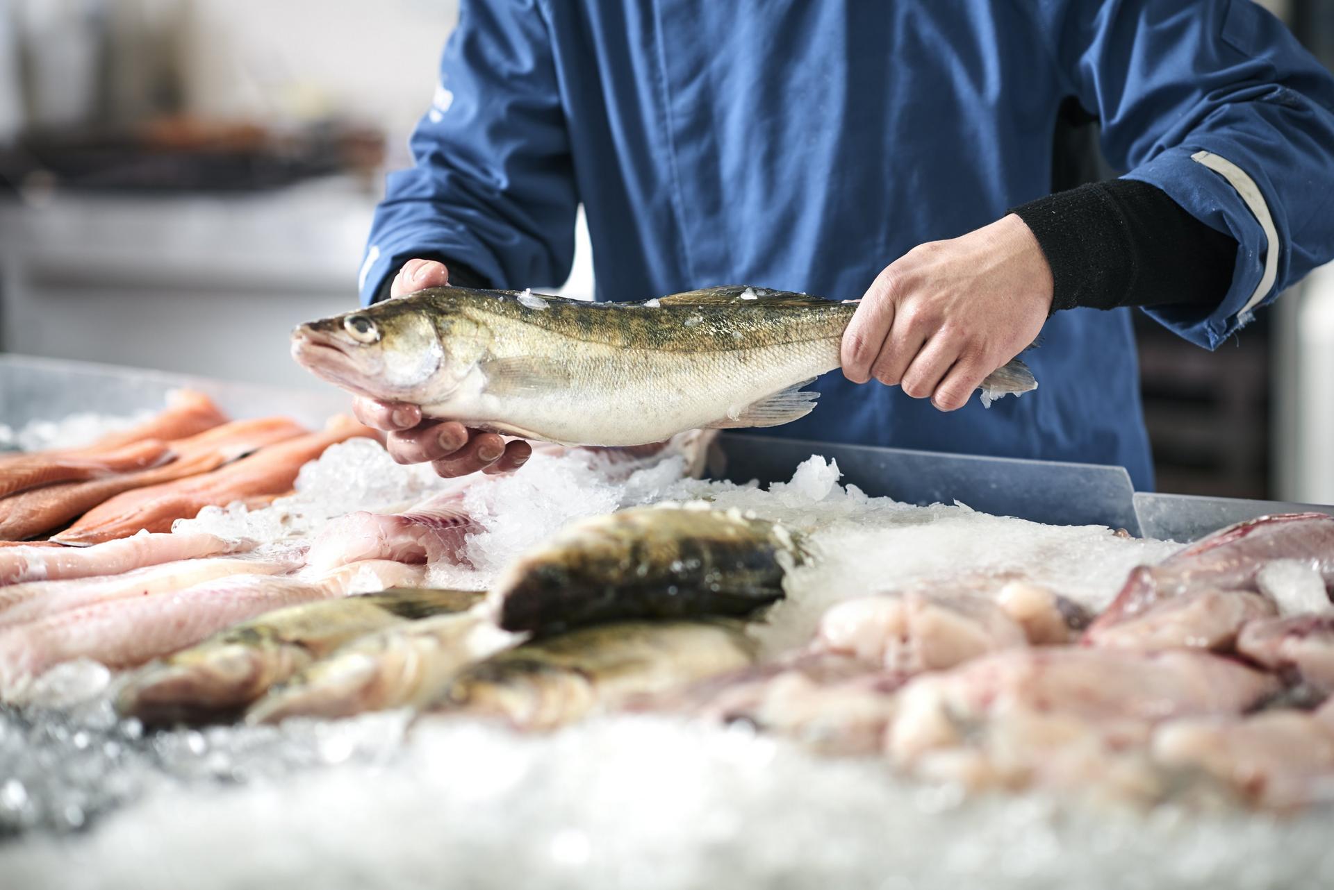 Fisk er en glimrende kilde til EPA og DHA omega-3 fedtsyrer.