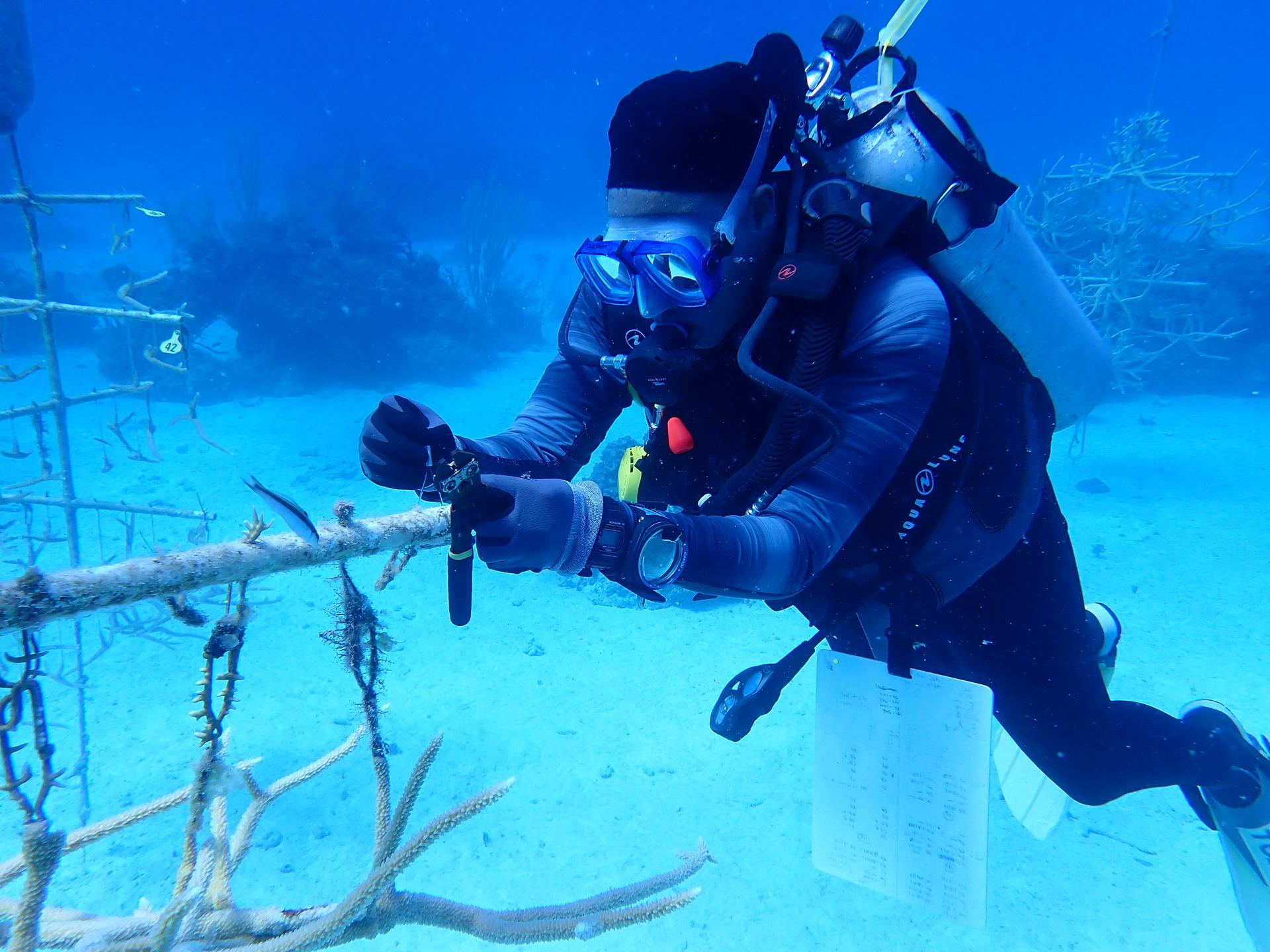 Woman scuba diving