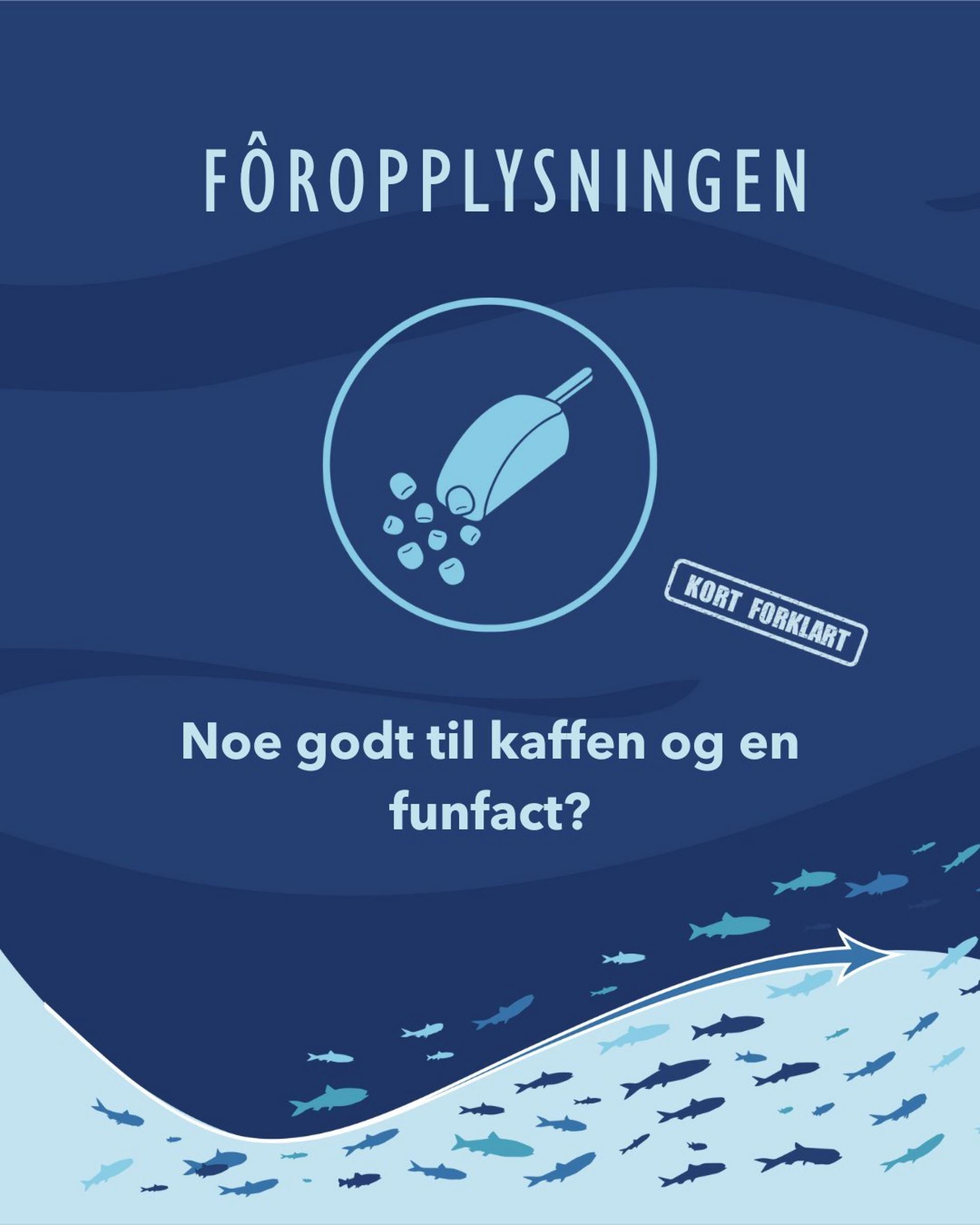 Noe godt til kaffen og en fun fact?