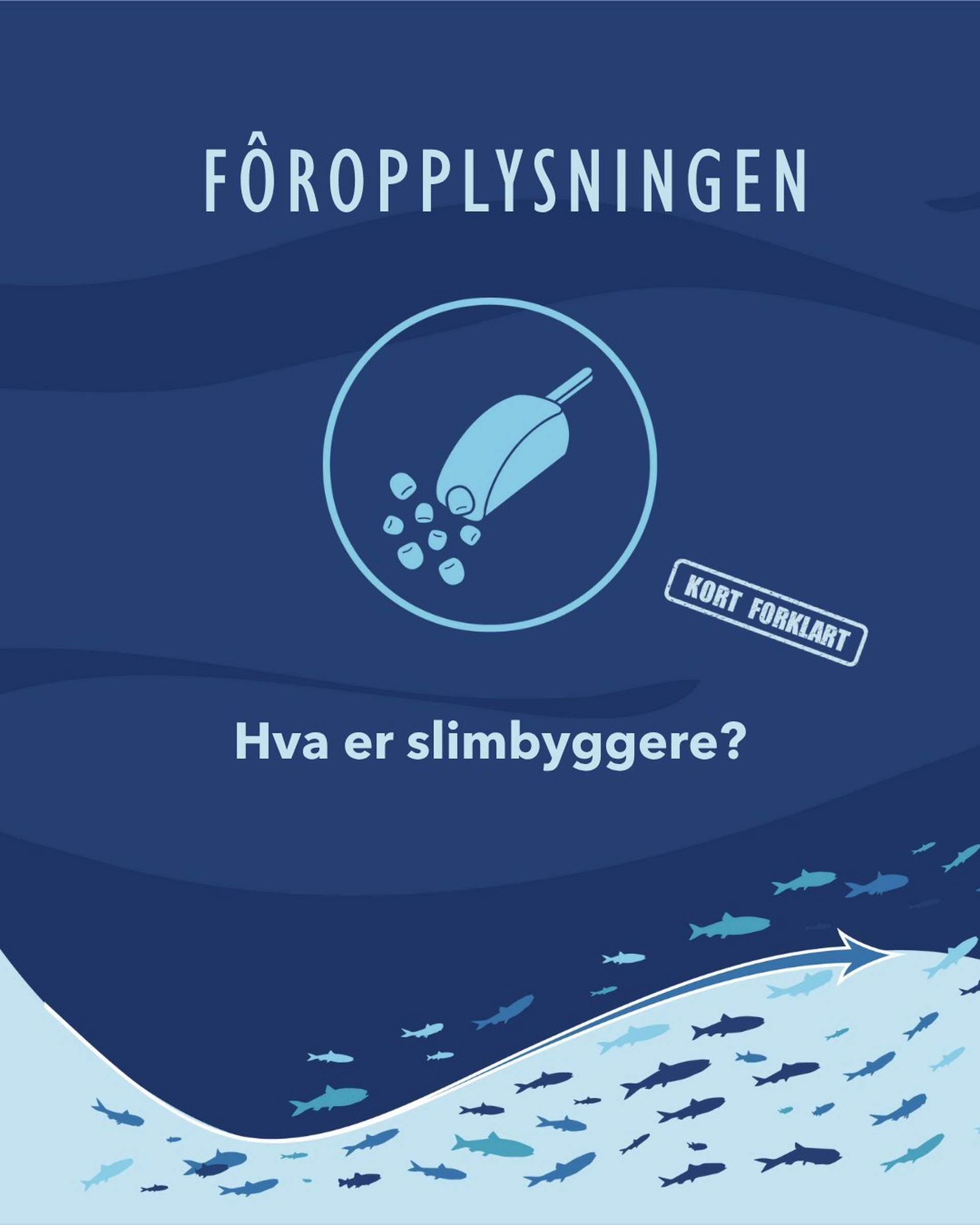 Hva er slimbyggere?