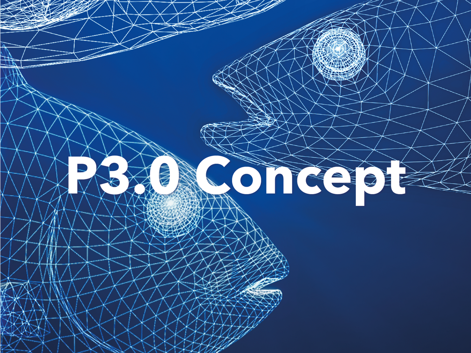 P 3.0 Concept
