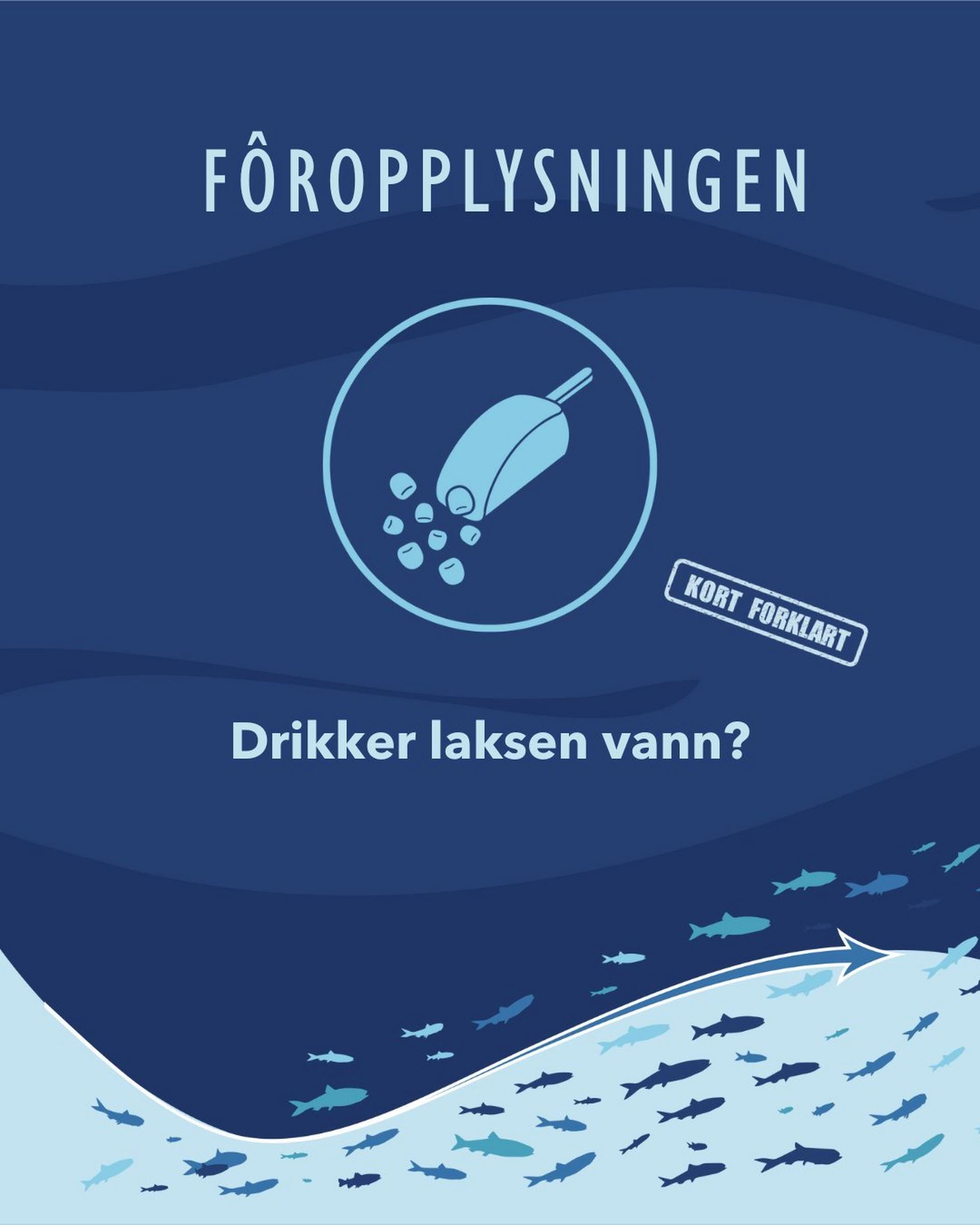 Drikker laksen vann?