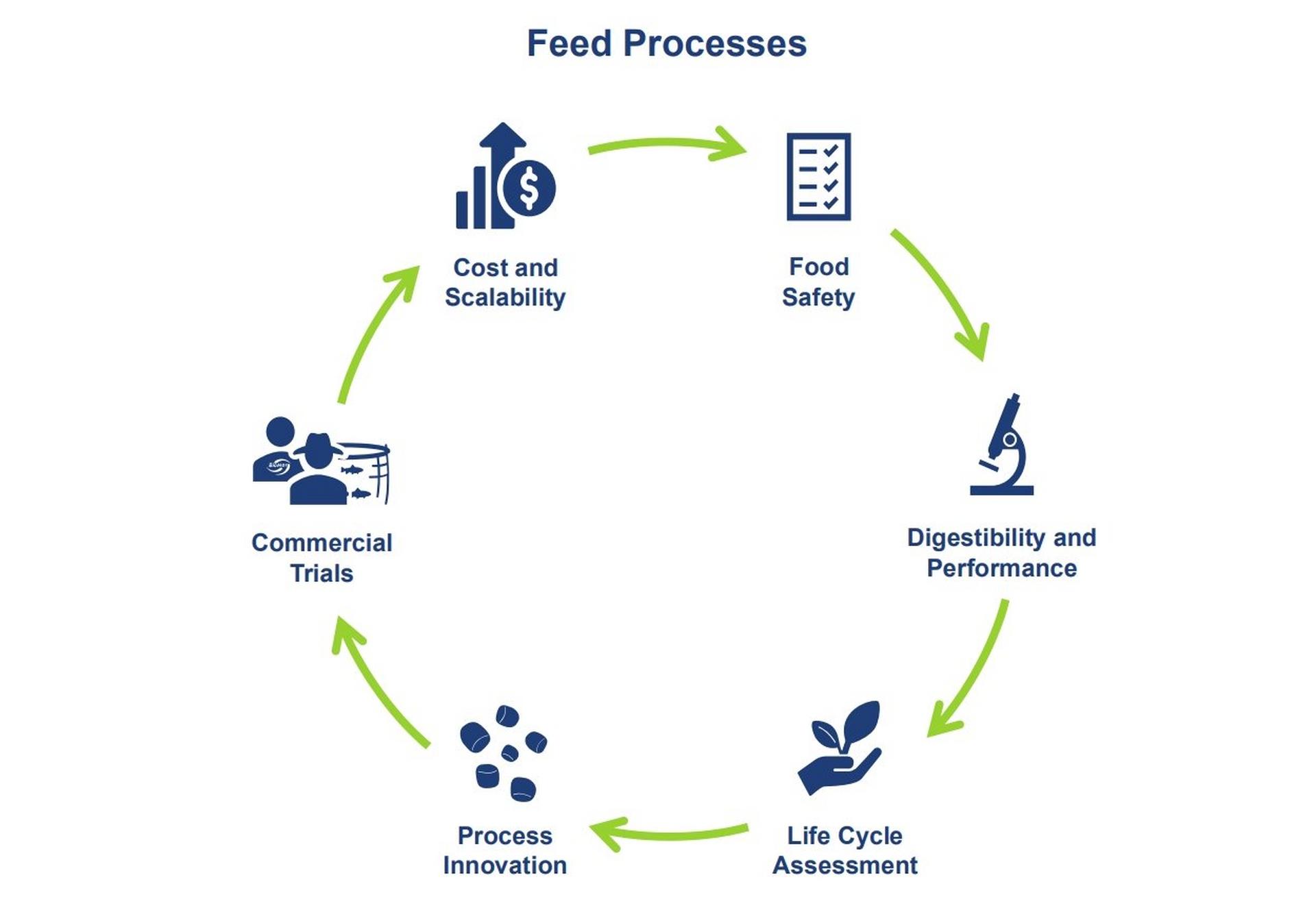 Figure showing Visualisation of the feed processes.