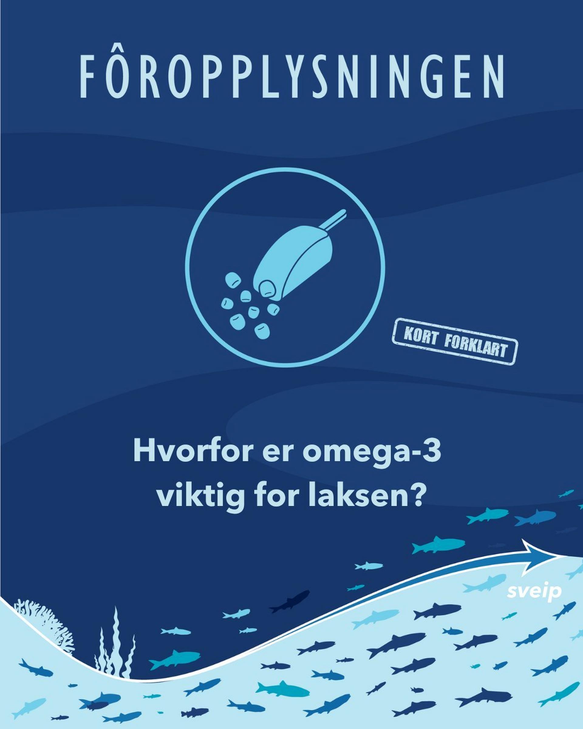 Hvorfor er Omega-3 viktig for laksen?