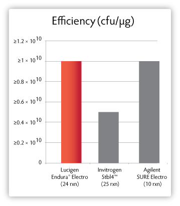 Transformation efficiencies of Endura competent cells and other electrocompetent clone-stabilizing strains