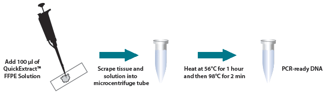 QuickExtract FFPE DNA Extraction Kit