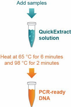 Quickextract DNA Extraction Solution Procedure Diagram