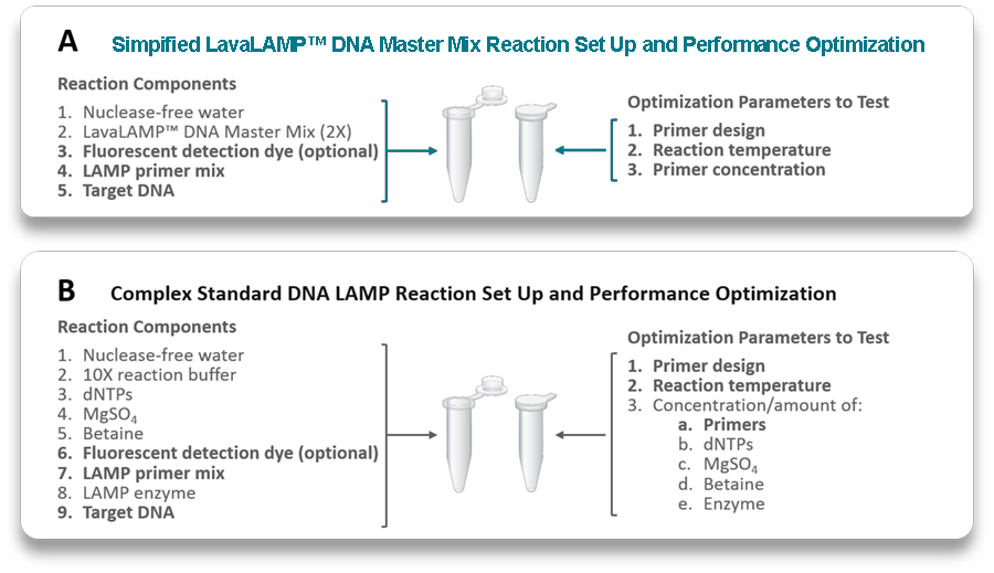 LavaLAMP loop-mediated-dna-amplification-reaction-easy