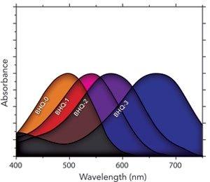 bhq absorption curves