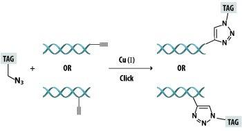 Diagram of the Click reaction