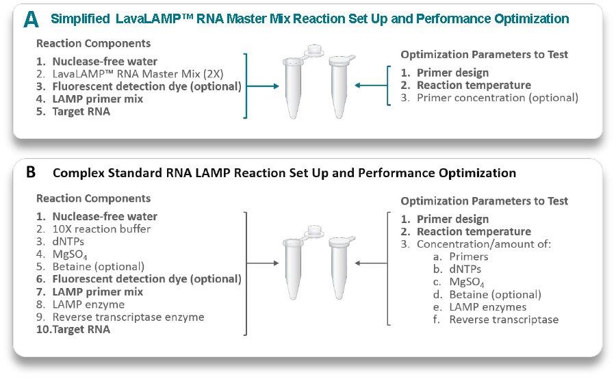 Simplified Reaction Set Up and Optimization with a Master Mix