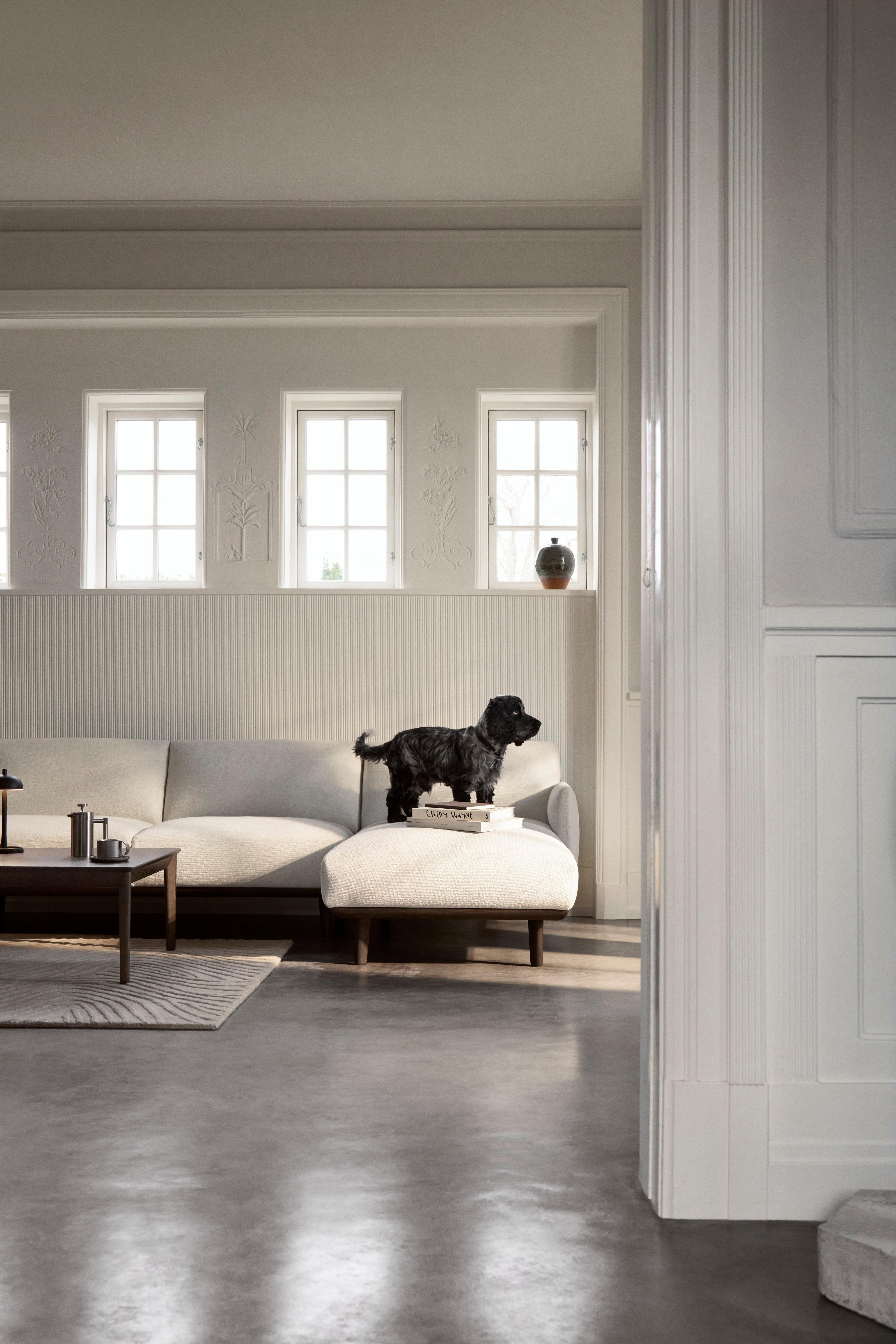 Salon minimaliste avec canapé modulaire clair, table basse foncée et chien noir debout sur des livres empilés près d’une fenêtre à trois panneaux.