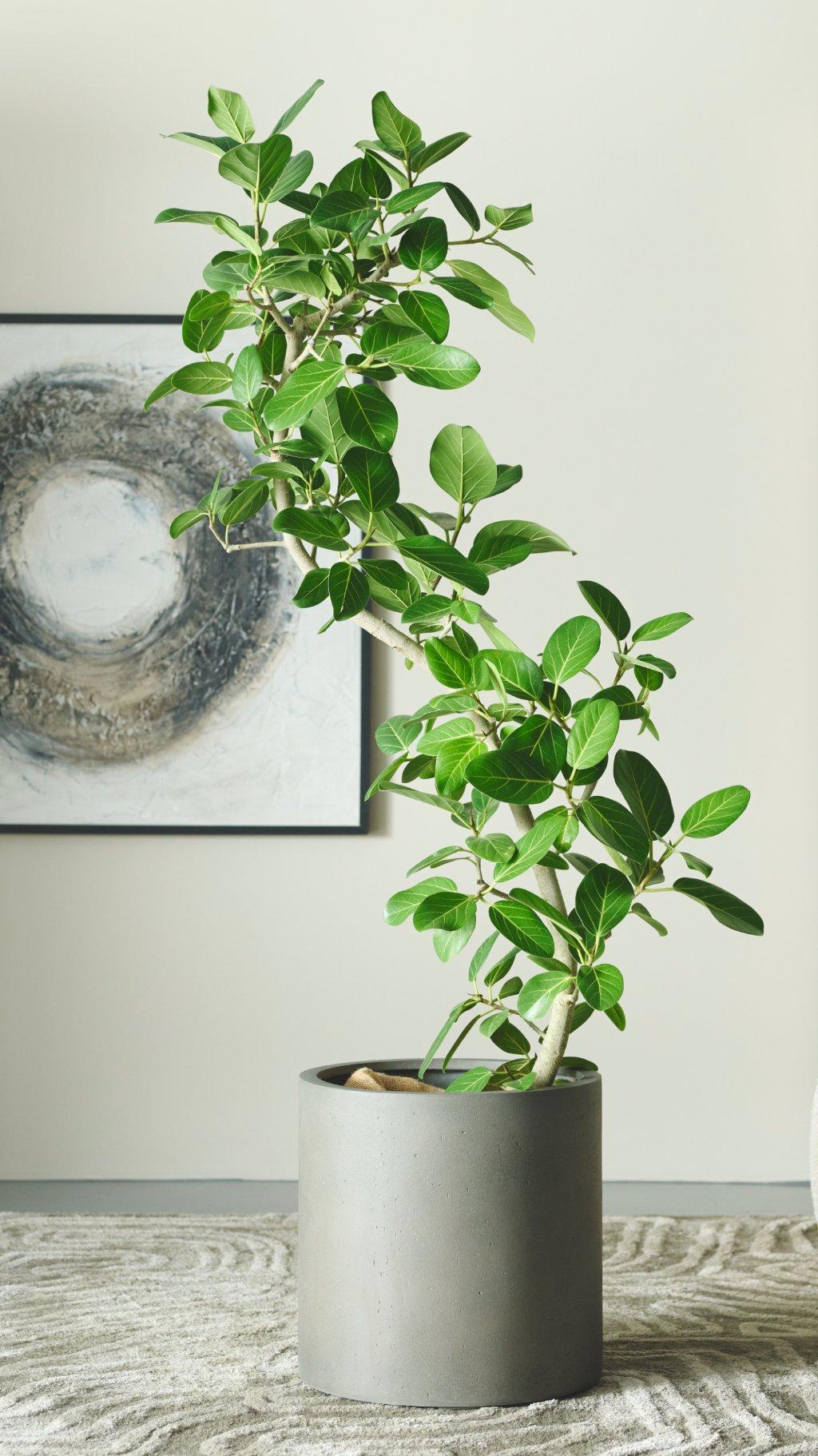 ボーコンセプト オブジェ　葉っぱ　約25cm ボーコンセプト オブジェ 葉っぱ 約25cm ボーコンセプト オブジェ