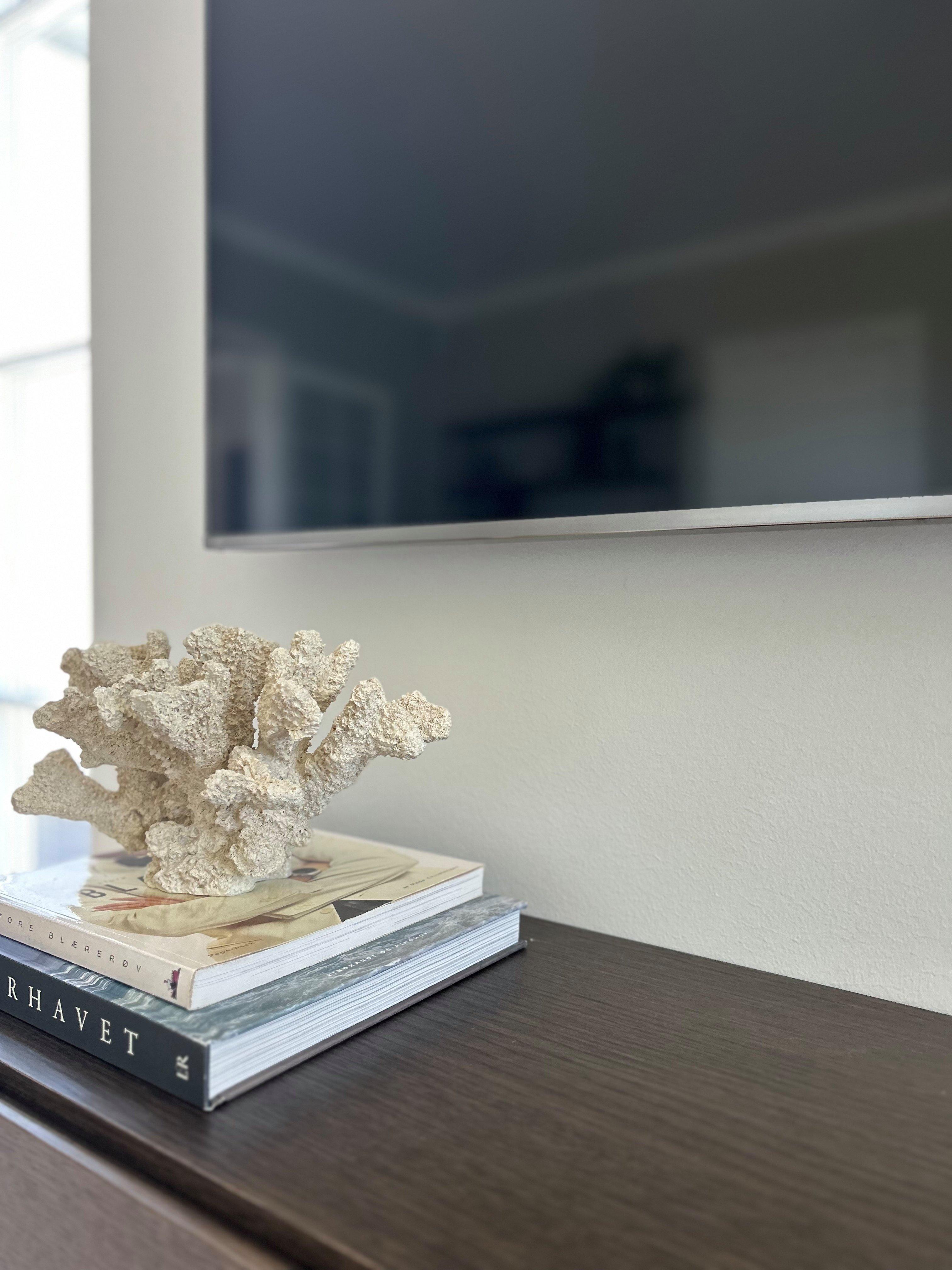 Close-up of a dark wood console with stacked books and a decorative coral sculpture beneath a mounted flat-screen TV.