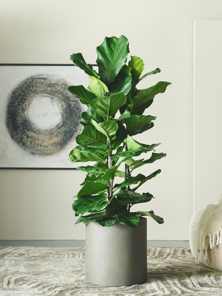 ボーコンセプト オブジェ 葉っぱ 約25cm ボーコンセプト オブジェ