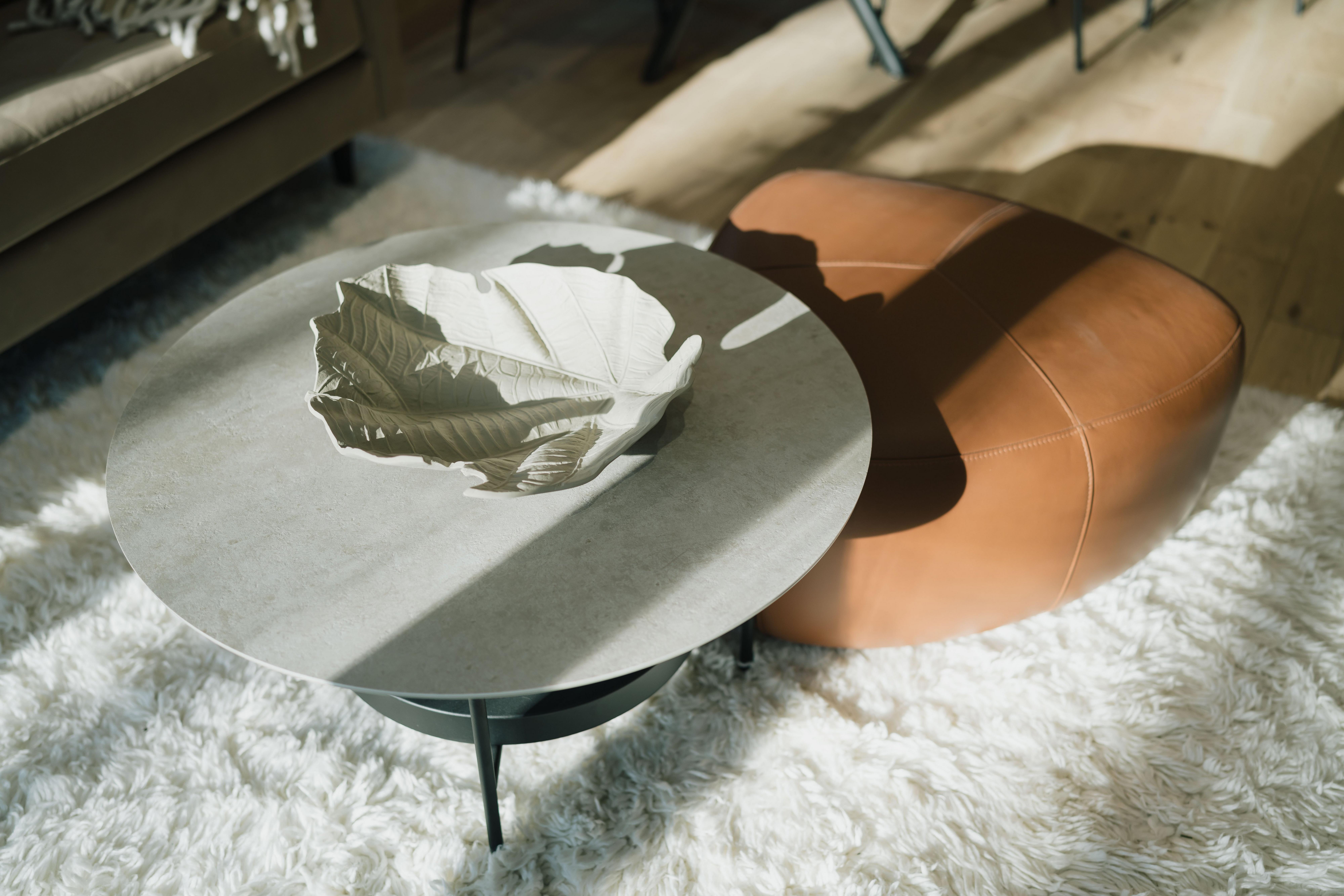 Round table with decorative leaf, tan ottoman, on a white fluffy rug in sunlight.