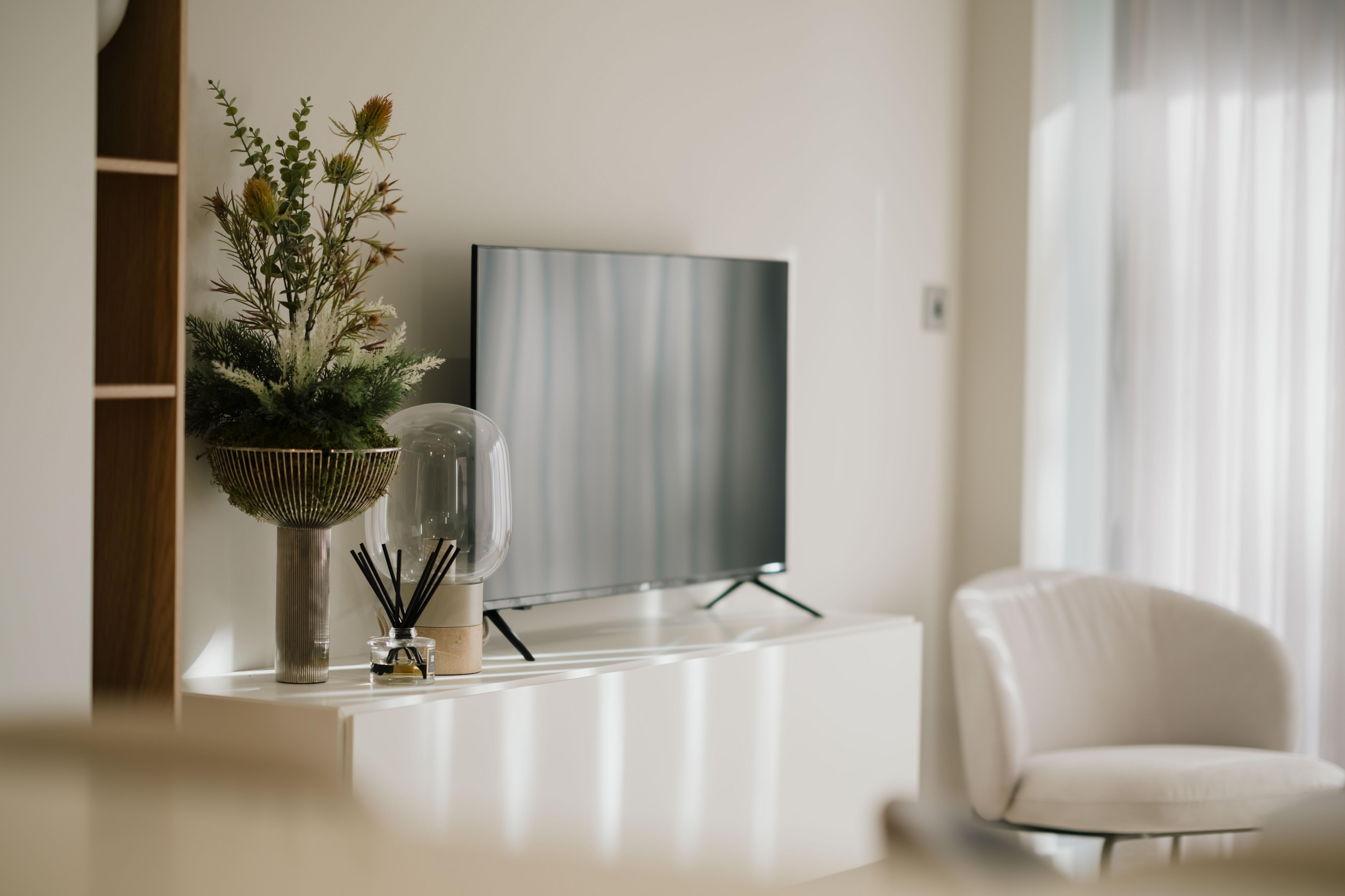 White living space with TV, decorative plants, and a soft armchair.