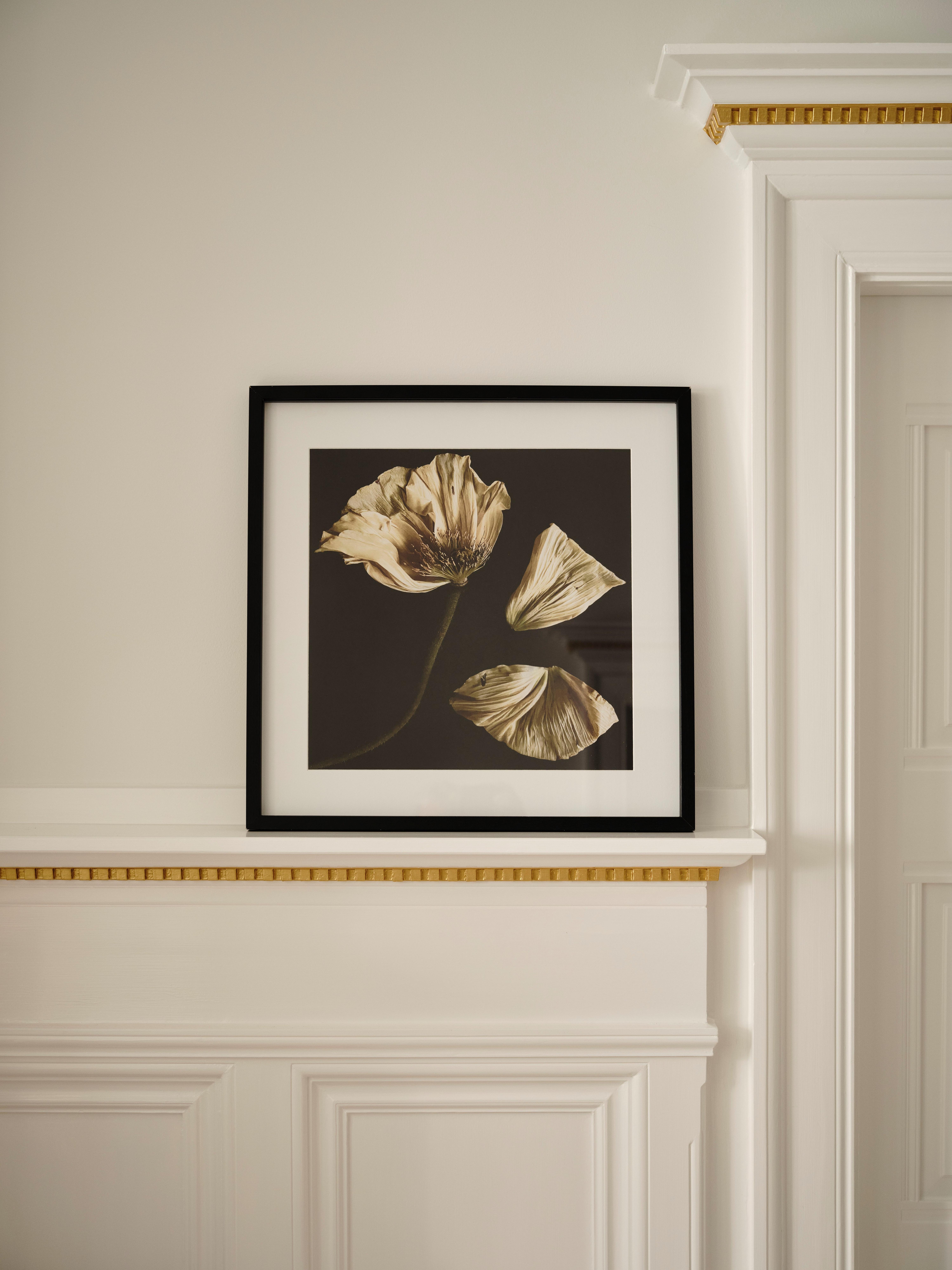 Cuadro de flores secas enmarcado en negro sobre pared blanca. Decoración elegante.