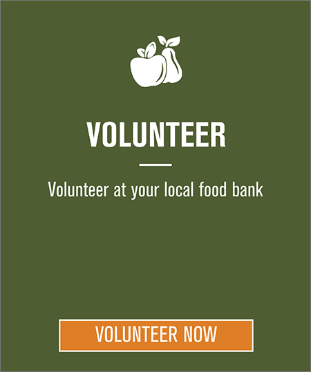 Volunteer Today