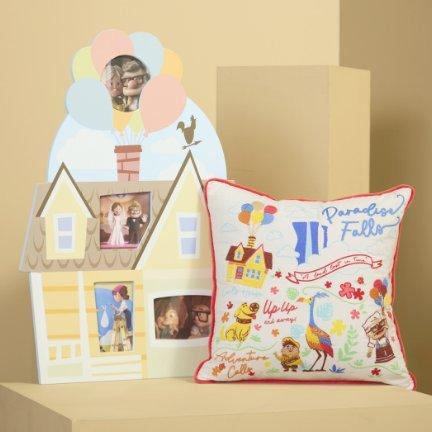 Up Picture Frame & Pillow