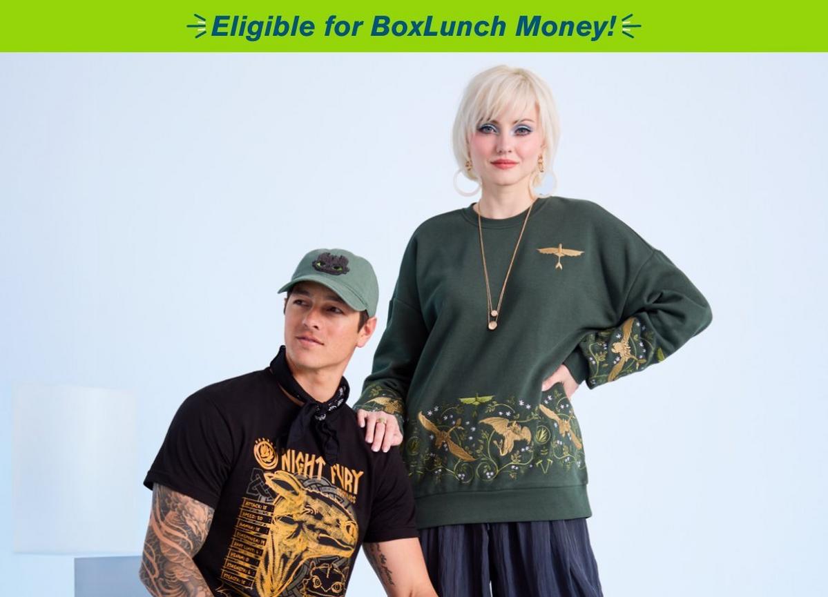 DreamWorks How To Train Your Dragon Crewneck & T-shirt