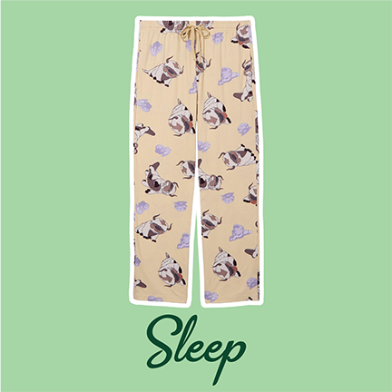 Avatar: The Last Airbender Appa Clouds Allover Print Sleep Pants — BoxLunch Exclusive
