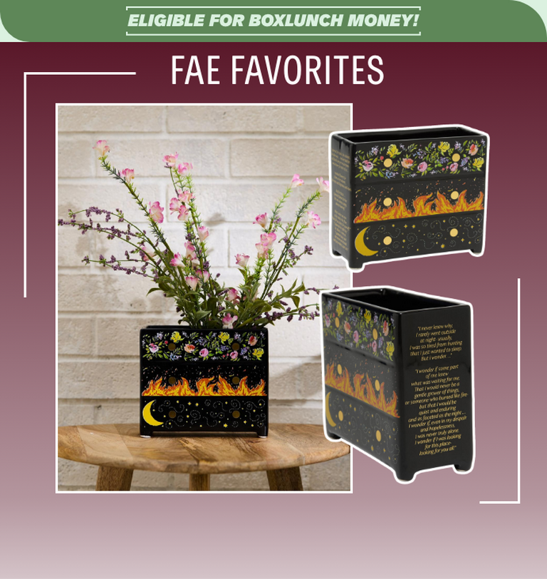 Graphic reading “Fae Favorites” with vase, dragon wall tapestry, and book page markers. Shop Now.