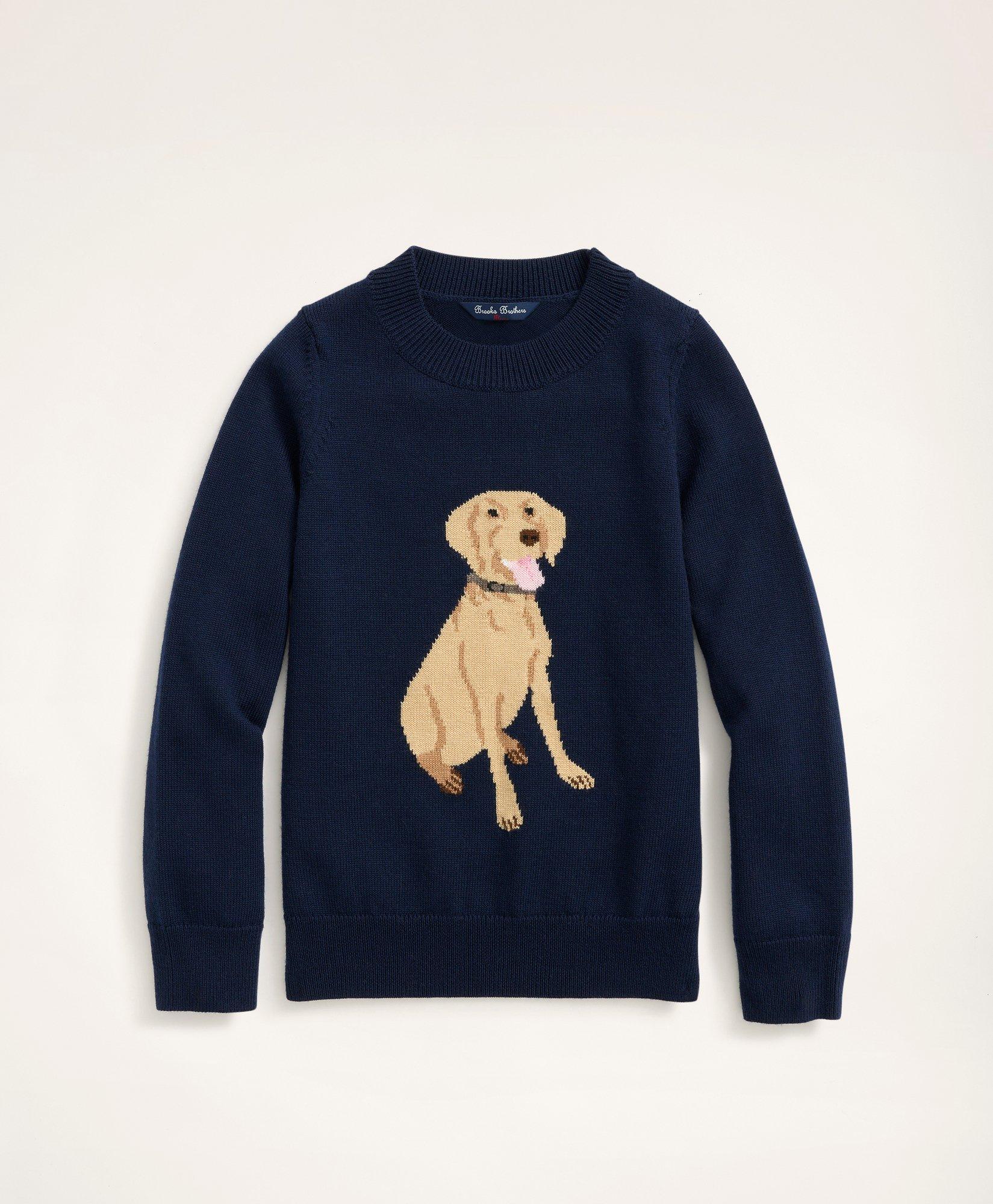 Boys Merino Wool Dog Intarsia Sweater