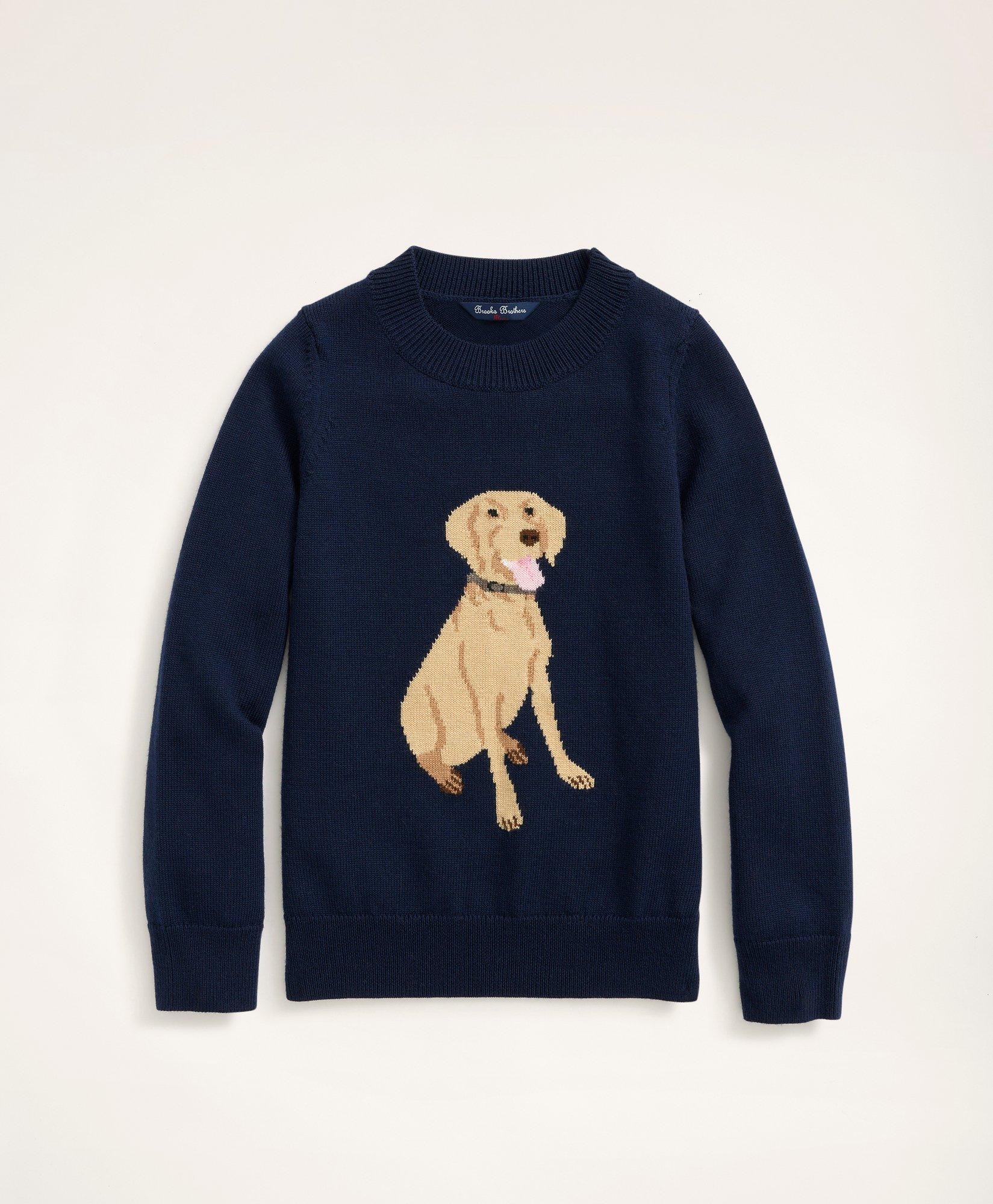 Big brother dog sweater sale