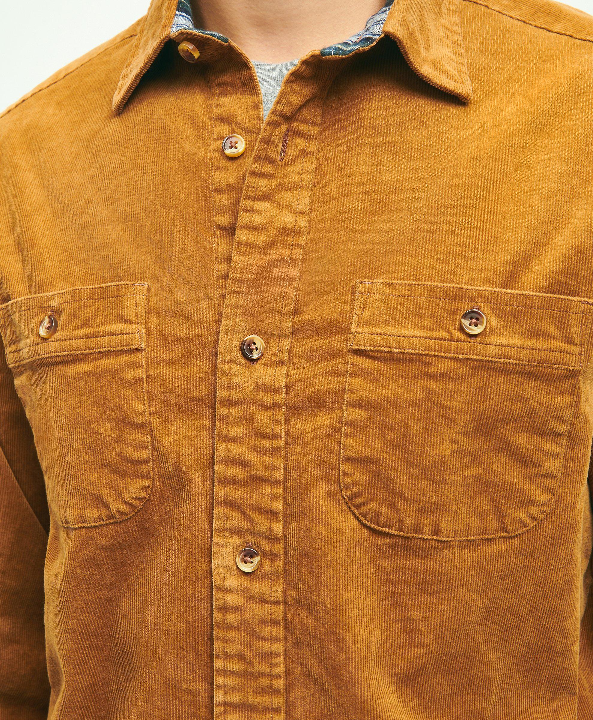 brown collar shirt