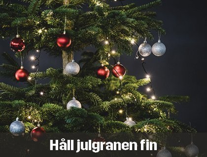 Håll julgranen fin med våra bästa tips | Byggmax