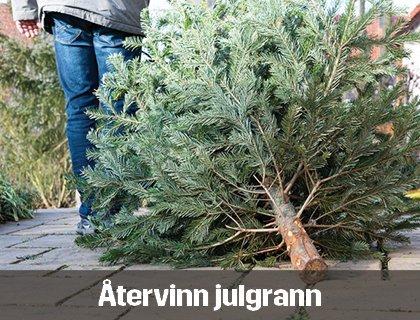 Så återvinner du din julgran | Byggmax