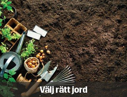 Vilken jord till vad? | Byggmax