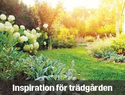 Trädgårdsguide | Byggmax