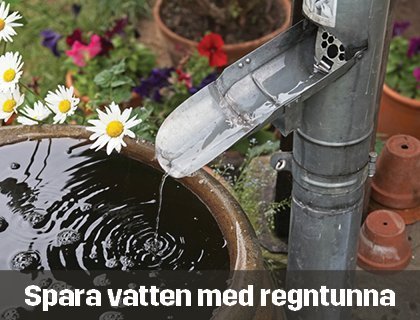 Spara vatten med regntunna