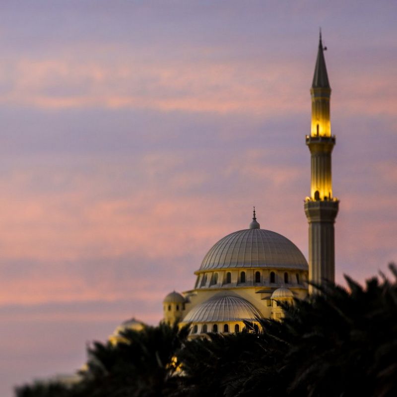 ecom-dep-page-lenses-tilt-shift-banner-800-cs