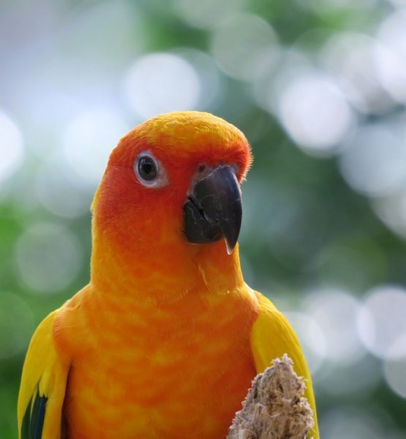 Taken with Canon Powershot G3 X