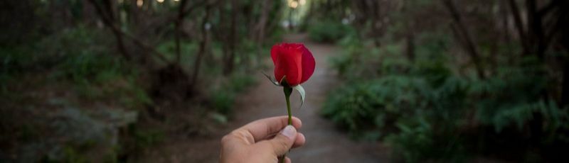 Lilia’s 365 days of summer