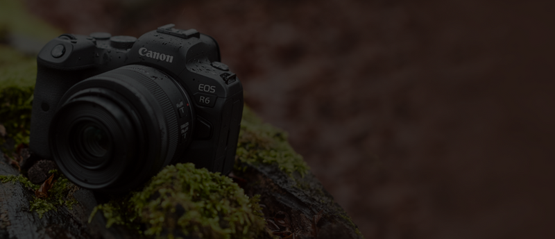 
       Инструмент поиска продуктов
     